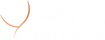 Logo Vienna Grand Chauffeurs